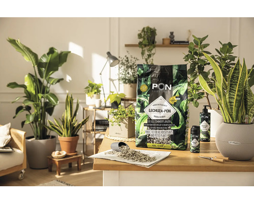LECHUZA-PON pestovateľský substrát pre izbové rastliny na stole s izbovými rastlinami
