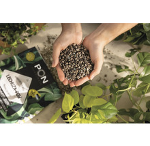 Hrsť rastlinného substrátu Lechuza Pon nad balením a rastlinami