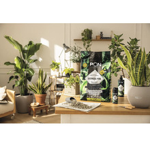 LECHUZA-PON pestovateľský substrát pre izbové rastliny na stole s izbovými rastlinami