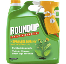 Roundup prípravok na ničenie buriny s rozprašovačom, 3 litre