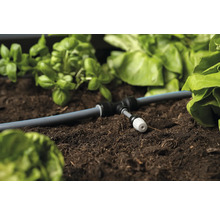 Zavlažovací systém v záhone so zeleninou a bylinkami