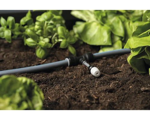 Zavlažovací systém v záhone so zeleninou a bylinkami