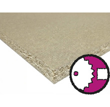 Drevotriesková doska v detaile