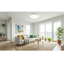 Svetlá obývacia izba s pohovkou, stolom, kobercom a izbovými rastlinami.