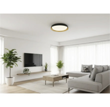 Obývacia izba so stropným svietidlom, pohovkou, kobercom a izbovými rastlinami