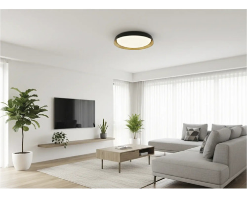 Obývacia izba so stropným svietidlom, pohovkou, kobercom a izbovými rastlinami