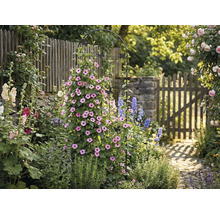 Záhradná scéna s podperou pre rastliny, kvetmi a záhradnou cestou