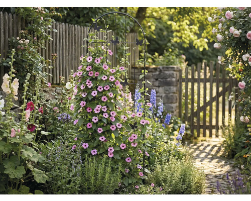 Záhradná scéna s podperou pre rastliny, kvetmi a záhradnou cestou