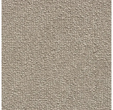 Koberec so slučkovou štruktúrou v béžovej farbe.