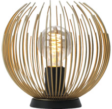 Stolná lampa s kovovou klietkou a žiarovkou