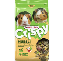 Krmivo pre morčatá Versele-Laga Crispy Muesli s vitamínom C a zmesou müsli.