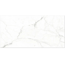 Dlaždica v dekore mramoru so sivým žilkovaním.