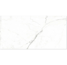 Dlaždica z jemnej kameniny so vzhľadom mramoru a sivým žilkovaním na stenu a podlahu.