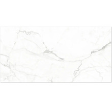 Dlažba z jemnej kameniny so vzhľadom mramoru so sivým žilkovaním.