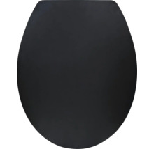 WC sedadlo v čiernej farbe, oválny tvar, uzavreté veko.