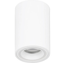 Valcové prisadené bodové svietidlo v bielej farbe na montáž na strop.