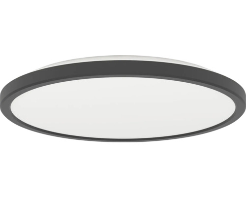Ploché okrúhle stropné LED svietidlo s čiernym rámom a bielym plastovým krytom.