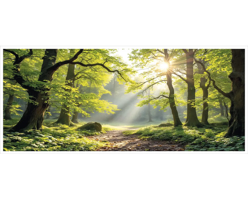 Fototapeta s lesnou krajinou, slnečné lúče prenikajúce cez lístie na lesný chodník.