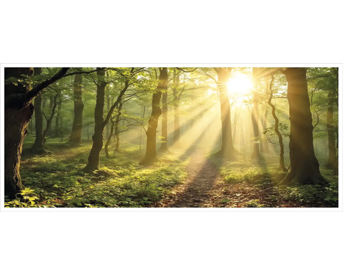 Fototapeta les so slnečnými lúčmi prenikajúcimi cez zelené stromy na lesnú cestu.