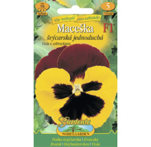 Vrecko so semenami macešky švajčiarskej Viola x wittrockiana od Nohel Garden, hybridné, circa 10 semien.