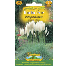 Balenie semien pampovej trávy Cortaderia selloana s bielymi kvetenstvami, obsah circa 200 semien, Nohelgarden Logo.