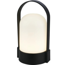 Moderná prenosná stolná lampa s čiernou základňou a rukoväťou a bielou priesvitnou kupolou.
