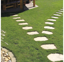 Záhradný chodník zo svetlých šľapákov položených v zelenom trávniku.