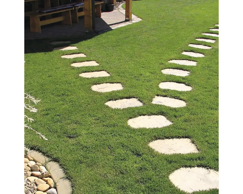 Záhradný chodník zo svetlých šľapákov položených v zelenom trávniku.