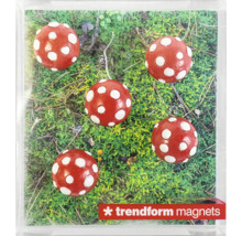 Sada piatich guľatých magnetov so vzorom muchotrávky na zelenom machu, Trendform magnets Logo.