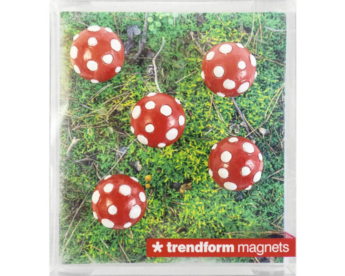 Sada piatich guľatých magnetov so vzorom muchotrávky na zelenom machu, Trendform magnets Logo.