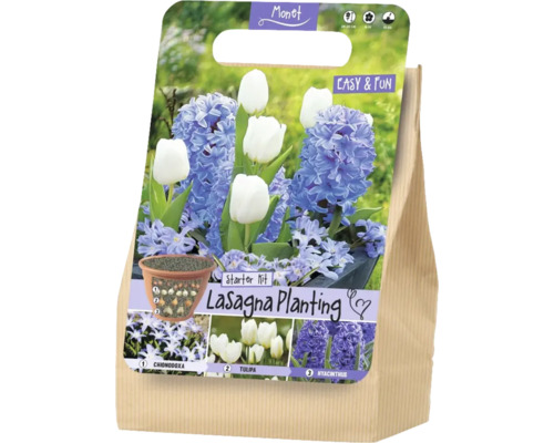 Monet Logo. Sada Lasagna Planting s cibuľami Chionodoxa, tulipánov a hyacintov. Schéma výsadby vo vrstvách, doba kvitnutia február až apríl.