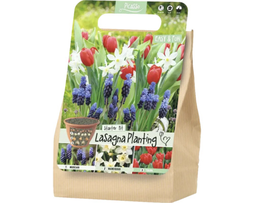 Štartovacia sada Picasso Lasagna Planting pre vrstvenú výsadbu s cibuľkami modríc, narcisov a tulipánov.
