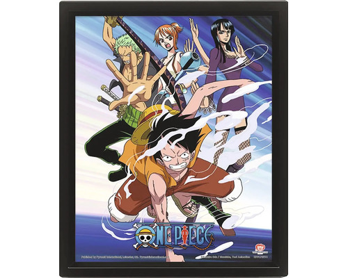 3D lentikulárny plagát One Piece s postavami Luffy, Zoro, Nami a Robin v čiernom ráme s logom One Piece.
