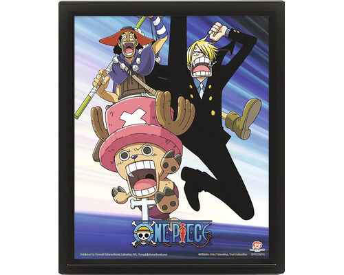 Trojrozmerný plagát One Piece s postavami Usopp, Sanji a Chopper v čiernom ráme.