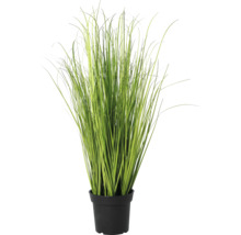 Umelá okrasná tráva v čiernom plastovom kvetináči.