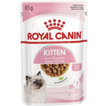 Royal Canin Logo, mokré krmivo Royal Canin Kitten, kúsky v omáčke, 85 gramov, pre mačiatka do 12 mesiacov, bez konzervantov.