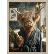 Zarámovaný obraz so škótskym náhorným hovädzím dobytkom v kockovanom župane s fénom a nápisom Bad Hair Day v kúpeľni.