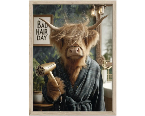 Zarámovaný obraz so škótskym náhorným hovädzím dobytkom v kockovanom župane s fénom a nápisom Bad Hair Day v kúpeľni.
