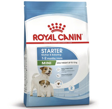 Krmivo Royal Canin Starter Mother and Babydog Mini pre malé suky a šteniatka do 10 kilogramov.