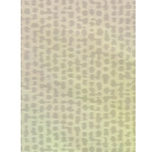 Vliesová tapeta Trend Spectrum 792533 béžová, strieborná 53 x 1005 cm