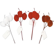 Set 3 ks jabĺk semiš 17 cm