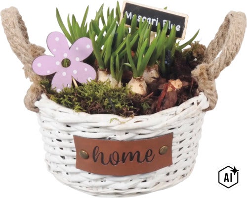 Posadený prútený košík s modricami (Muscari), machom, ozdobným kvetom a ceduľkou v košíku s uškami a nápisom home. (Image AI modified or generated)