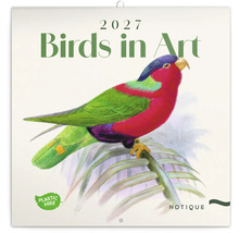 Nástenný kalendár 2027 Birds in Art s vyobrazením farebného papagája na konári z papiera bez plastov