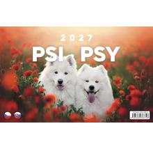 Nástenný kalendár 2027 Psi Psy s dvoma bielymi psami samojeda na poli s vlčími makmi