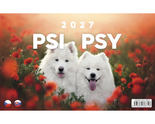 Nástenný kalendár 2027 Psi Psy s dvoma bielymi psami samojeda na poli s vlčími makmi