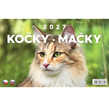 Nástenný kalendár na rok 2027 s motívom mačky