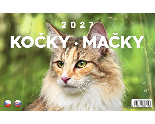 Nástenný kalendár na rok 2027 s motívom mačky