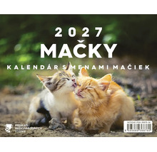 Nástenný kalendár 2027 s motívmi mačiek a menami, ilustrovaný dvoma mačiatkami, ktoré sa vzájomne čistia.