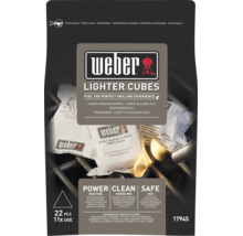 Podpaľovacie kocky Weber v uzatvárateľnom vrecku pre grily a krby 22 kusov
