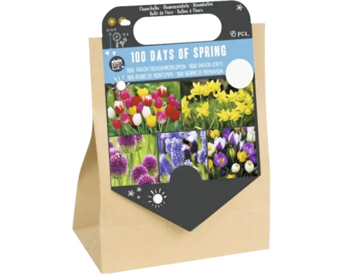 Zmes cibuľovín 100 Days of Spring 45 kusov v papierovej taške